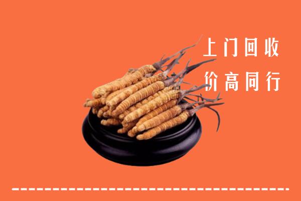 泸州叙永县回收散虫草