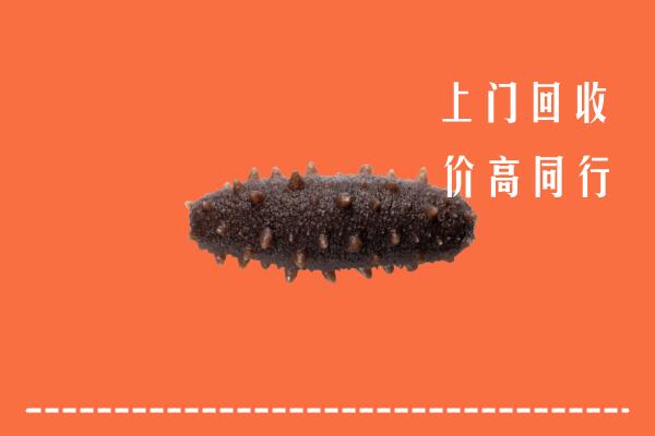 高价求购：泸州叙永县回收海参