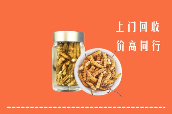 泸州叙永县回收冬虫夏草